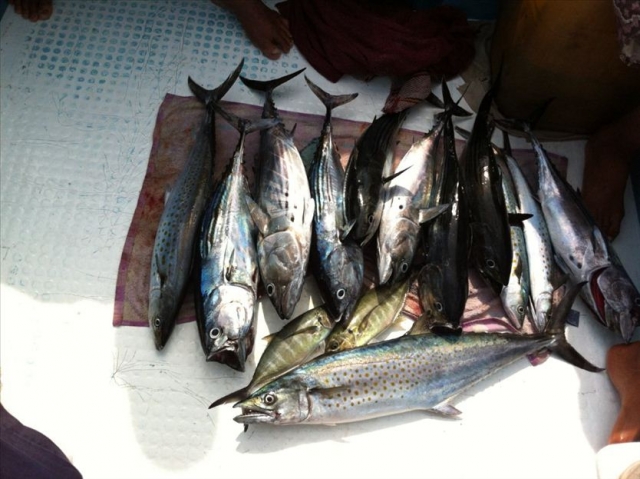  A day of fishing